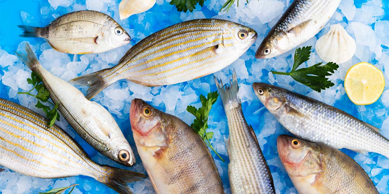 Peixes frescos, congelados ou secos: qual escolher?