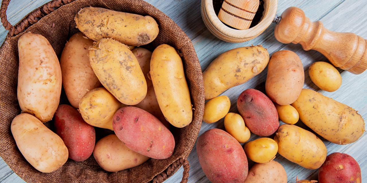Tipos de batatas: um mundo de opções na sua cozinha