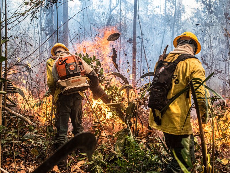 Governo Lula antecipa contratação de brigadas federais contra incêndios florestais no AM
