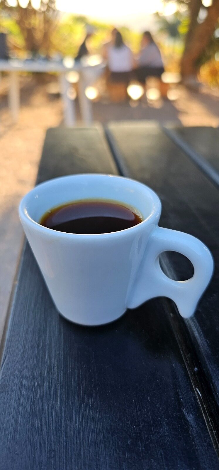 No Dia Nacional do Café, Serra Negra convida para um mergulho na cultura cafeeira