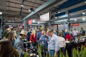 Sugestão de pauta: Wine South America 2025 cresce 20% em expositores e projeta R$ 100 milhões em negócios