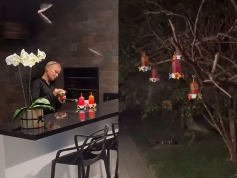 Vídeo mostra Xuxa alimentando morcegos no jardim de casa