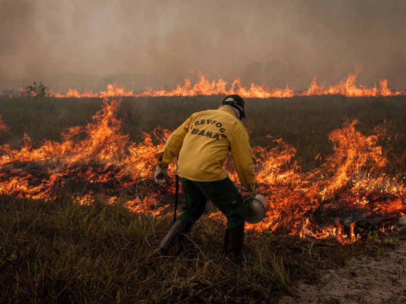 Câmara aprova aumento de pena para crime de incêndio em florestas
