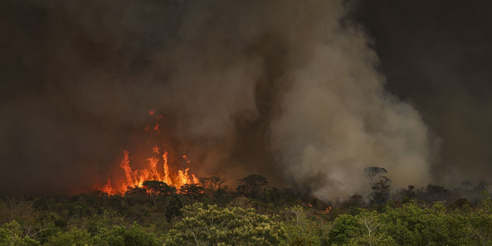 Câmara aprova aumento de punição a quem provocar incêndios florestais