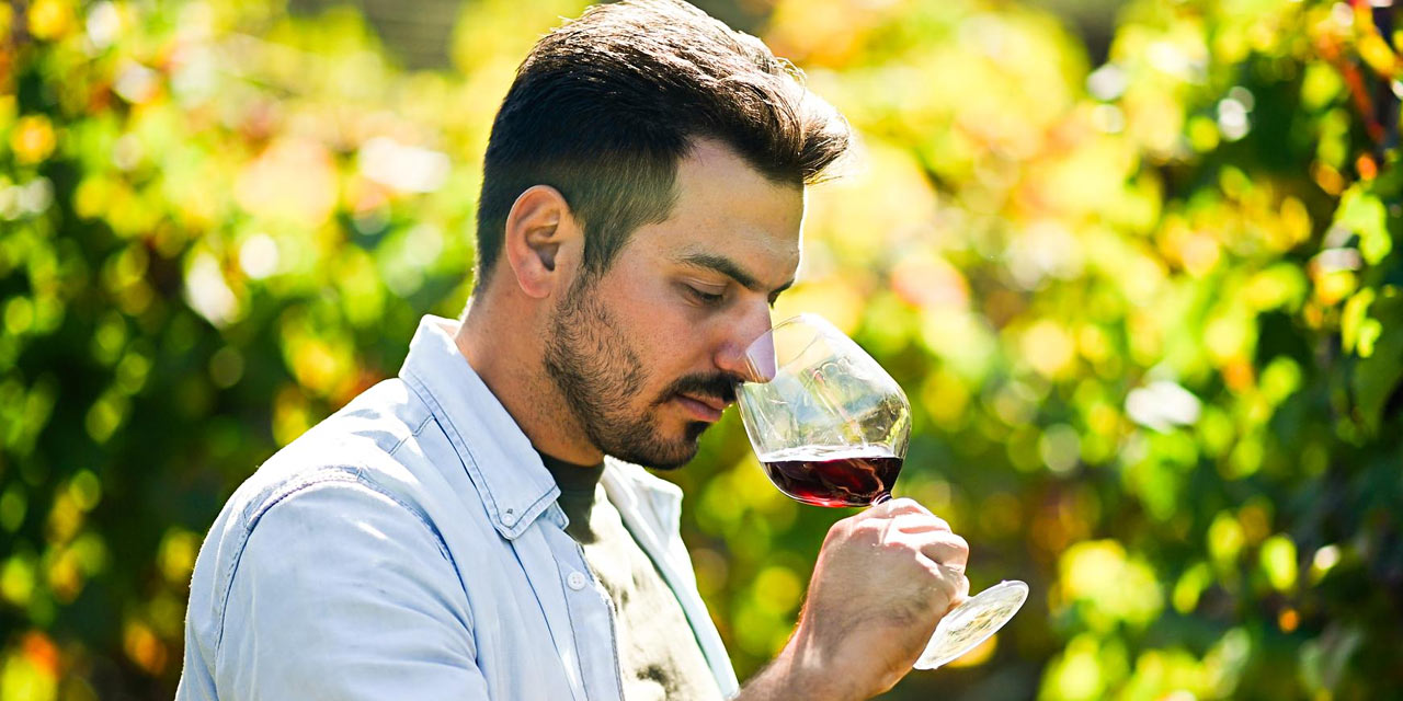 Dia do Enólogo: conheça a importância desse profissional