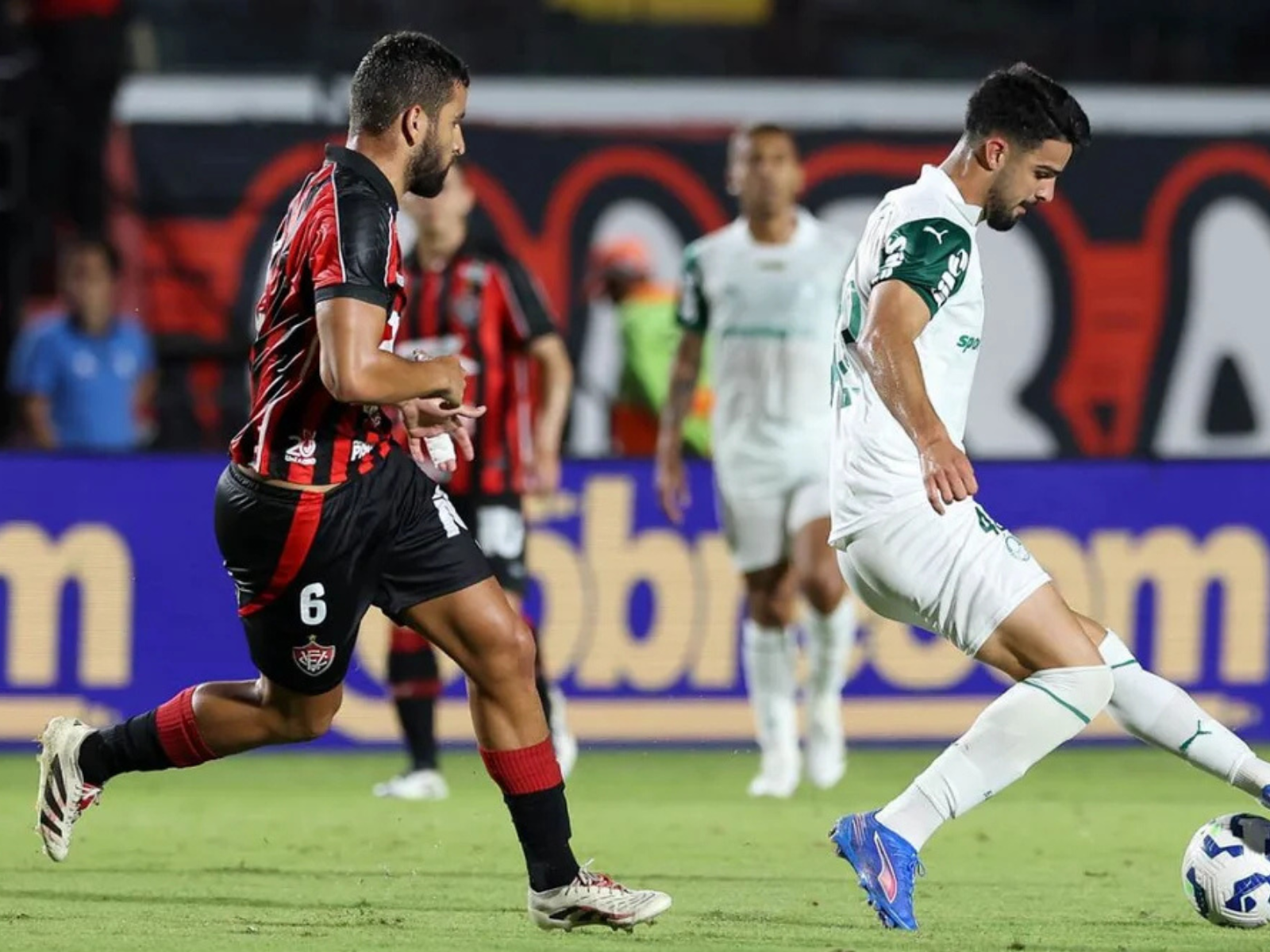 Palmeiras enfrenta o Vitória em busca pelo título no Campeonato Brasileiro