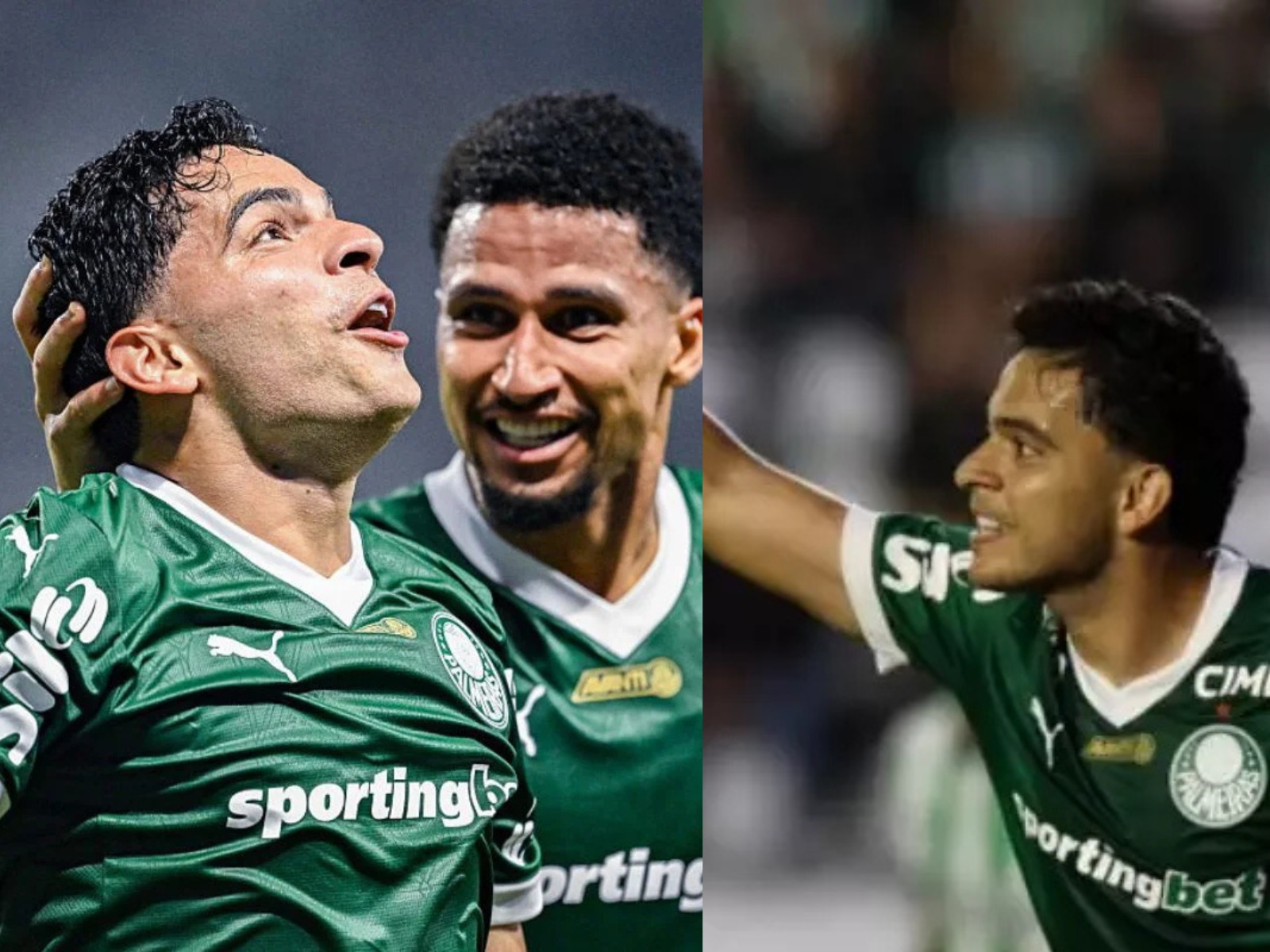 Palmeiras vence o Juventude, reassume liderança e mira título no Brasileirão