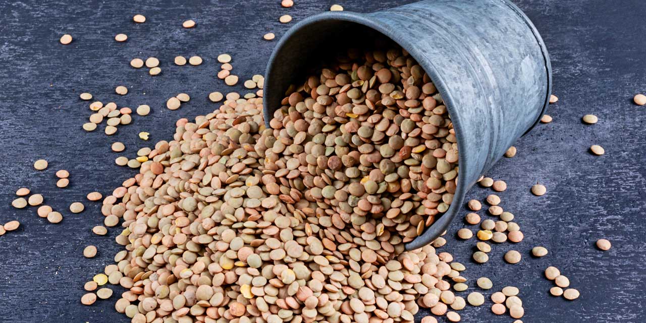 Lentilha: 7 curiosidades que vão te surpreender
