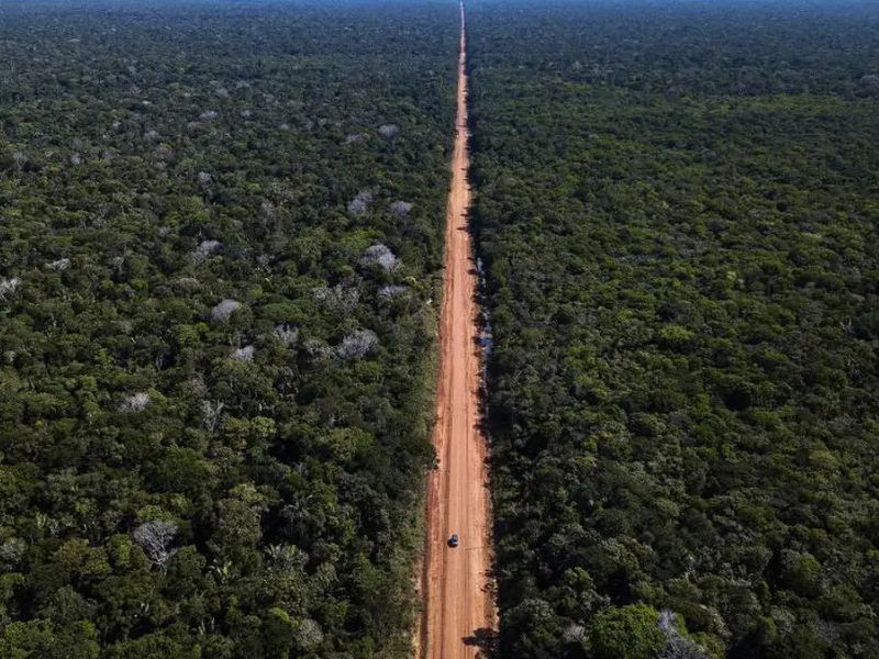 Licenciamento especial abre caminho para reconstrução da BR-319